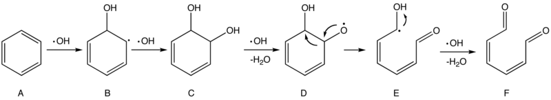 800px-Mechanism_of_OH_with_benzene.png