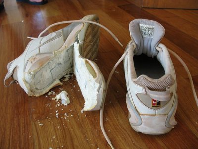 BrokenShoes.jpg
