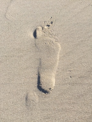 Footprints in the Sand.jpg
