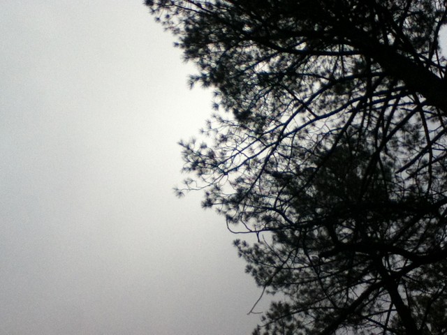 grey sky.jpg
