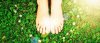 Barefoot On Clover.jpg
